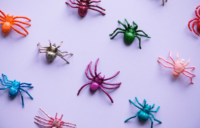 Plastic fake spiders in different bright colors line up on a lavender counter as Halloween candy alternatives