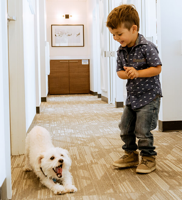 little boy playing with a dog in office hallway