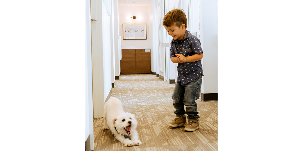 little boy playing with a dog in office hallway